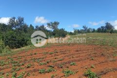 Đất đăk lăk gần ql 14, hơn 8,2 sào, mt 180m, bám suối, đất đỏ đang cho thuê,chỉ 499 tr