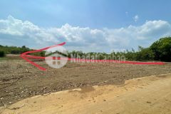 Em chủ đất cần bán lô đất sào hơn 1000m2 ở bình long bình phước