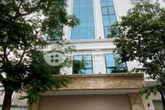 Hiếm 17.6 tỷ nguyễn khánh toàn 116m2, mt6.4m vỉa hè ô tô tránh kinh doanh vip cầu giấy