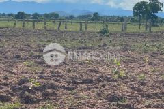 Thanh lý đất hòa thắng có đường trên sổ 170 nghìn m2 tặng ngay 1 chỉ vàng