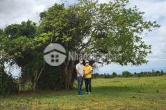 Chỉ 125 triệu sở hữu ngay 1000m2 đất vườn có sẵn sổ hồng, gần vườn thú 3300ha, lh 0937251240