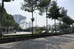 Cần bán gấp nhà hxh p 12, bình thạnh, 115m2, giá giảm mạnh còn 11.5 tỷ.