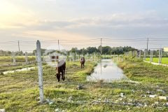 Cắt lỗ bán gấp lô đất vườn 830m2 đường nguyễn thị rành,xã nhuận đức củ chi,giá 1 tỷ 460tr.