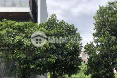 Bán gấp 2 lô đất mặt tiền 7,6m mặt đường tỉnh lộ 422b 0934485259