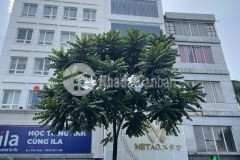 Hiếm 50 tỷ mặt phố huế 127m2, 8t, mặt tiền 5.5m sát chợ hôm vip phường ngô thì nhậm