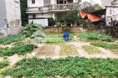 Bán 160m2 đất lô góc 2 mặt ngõ thông phố trích sài, giá 13 tỷ