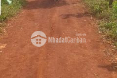 Đất phủ hồng view đồng lúa, 2,5 sào đường xe tải lên nhựa,2 mt 75m, 6xx tr