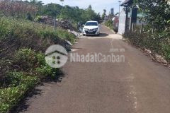 Bán đất ở mt hẻm, trần nhật duật, xã đam bri, tp bảo lộc, t. lâm đồng, 577m2, 3.1 tỷ, chính chủ bán