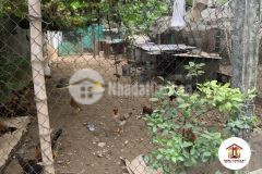 Cần bán gấp 45m2 đông trù đông hội đông anh để ở sướng giá 4xtrm2, 0886119248.