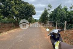 9 sào đất mặt tiền đường 40m tại bmt đaklak