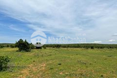 Lô đất không có điểm trừ, mặt tiền khu farm hòa thắng, diện tích 11656m2.liên hệ xem sổ0919626750