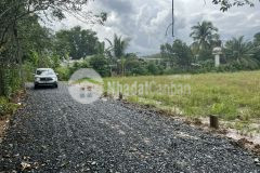 Ra gấp lô đất 5x31 thổ cư 73m2 giá 4xx bán lỗ giá cũ 520tr.