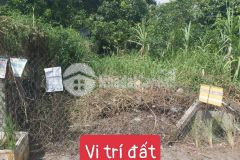 Bán lô đất 2 mặt tiền 150m2 thổ cư trịnh như khuê, bình chánh