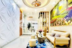 Bán gấp nhà vườn chuối quận 3 3m6x12m 7tỷ500triệu