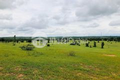 Đất biển bình thuận 2180m2, giá tổng 280 triệu bao phí. shr.lh số điện thoại có zalo