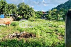 Bán đất khu vực có nhiều homestay nhất huyện mộc châu, tỉnh sơn la