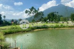 Bán lô đất nghỉ dưỡng cực đẹp, bám hồ điều hòa, gần khu du lịch khoang xanh ba vì, giá hơn 3trm2