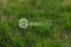 Bán 250m2 thổ cư 100 thích hợp xây nhà nghỉ dưỡng tại long an, shr, 950tr. lh0904957946