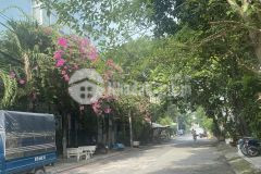 Bán nhà hxh bình lợi 5pn ngang 5m kiểu biệt thự cạnh bờ sông thoáng mát