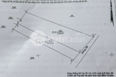 Sang tên ra sổ mới lô đất 2356m2 có đường trên sổ