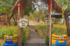 2 lô phan thanh 2 mặt tiền đường lớn siêu xịn diện tích nhỏ hiếm mặt tiền đường 6m