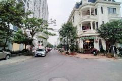 Bán đất phố đức giang, dt 85m2, đường xe công tránh, vỉa hè, ở và kinh dianh đỉnh