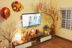 Bán nhà ngõ phố tân mai, ngõ rộng, 2 thoáng, 57m2x4t, chỉ 5.68 tỷ.