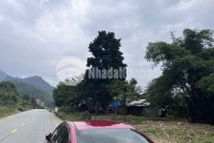 Lô đường nhựa 10m đoạn quốc lộ hcm giá chỉ 3xx đất nam giang