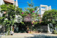 Cho thuê nhà đường 29, đn, sầm uất