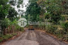 Mua vàng thì lỗ mua thổ thì lời hãy sở hữu ngay 108m2620 triệu.
