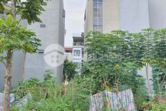 Bán đất dịch vụ kiến hưng, hà đông 50m, mt 4m kinh doanh chỉ 5 tỷ