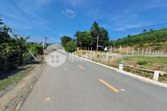 Mặt tiền hương lộ 62 sông cầu khánh vĩnh cách cụm công nghiệp 2km