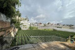 Bán đất đẹp, đầu tư ngay, chỉ hơn 2 tỷ đà lạt