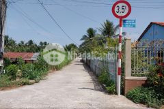 Án đất công đang trồng dừa ấp long hòa a, xã đạo thạnh, tp mỹ tho.