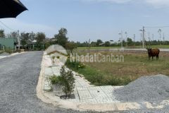 Bán gấp lô đất mặt tiền đường xã tân trung ql50