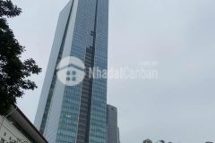 Bán tòa nhà 100m2 x 7.5 tầng, mặt tiền 7.5m, phố liễu giai đào tấn. giá 32 tỷ.