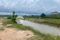 Bán đất thổ cư biển đất vườn bình thuận sổ sẵn chính chủ giá từ 272tr.số điện thoại có zalo ạ