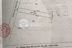 Đất hẻm c1 đường nguyễn thị định ngay kdl đồi trầm 5 x 45m 1.1 tỷ