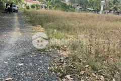 Gia đình qua tết kẹt tiền quá cần bán lô đất 450 triệu, sổ công chứng liển