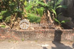 Bán đất tình quang, giang biên, dt 66m2, mt 4.5m, chỉ 1.85 tỷ, có thương lượng