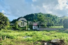 Cần bán đất nền mộc châu diện tích 525.5m2 ngay gần trung tâm tt mộc châu