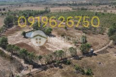 Đất vườn gần biển trên đất có hồ và cây sẵn giá chỉ 150.000đm2. số điện thoại có zalo0919 626 750