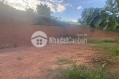 Mảnh đất 1200m có 400m thổ cư thích hợp để làm homestay, đầu tư nông nghiệp