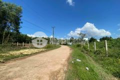 Bán đất diên xuân mặt tiền đường bê tông liên thôn giá rẻ