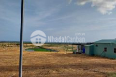 Bán 2150m2 chỉ 270 triệu, shr, gần ql1a, kdl safari, cao tốc bắc nam.liên hệ 0919 626 750