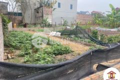 Bán gấp đất 72,6m2 đường nhạn xuân nộn đông anh, nhỉnh 2 tỷ, đường 2 ô tô tránh, 0886119248.