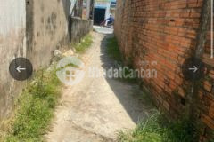 Bán 183m2 đất lúa thạnh đức bến lức long an, shr, 350tr. lh0938479228