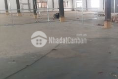 Kho xưởng cho thuê ngắn hạn 2400m2 trục ql1a quận 12