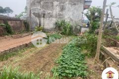 Cần bán 60m2 đường nhạn xuân nộn đông anh nhỉnh 1 tỷ, 0886119248.