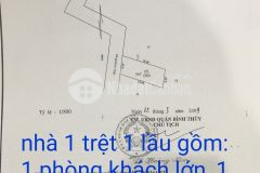 Biệt thự 1 trệt 1 lầu lầu lộ ô tô ngay trung tâm kế bên kdc stella, chợ bình thủy, sân bay